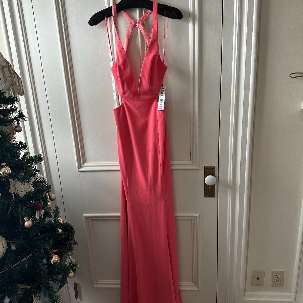 NWT: Jay Godfrey Douglas Gown Coral Size 4